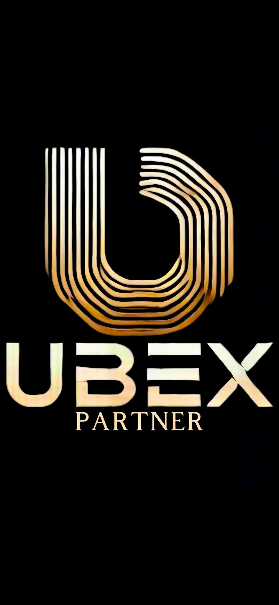 Ubex Partner Logo